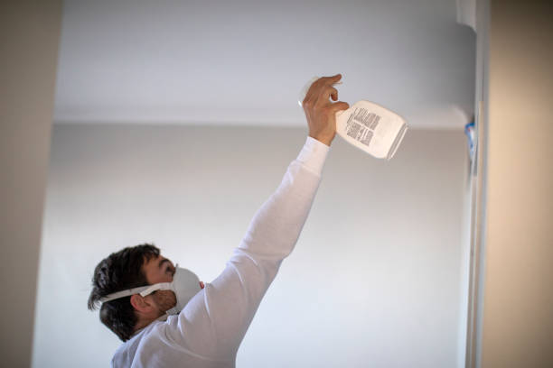 Best Industrial Mold Remediation in South Corning, NY