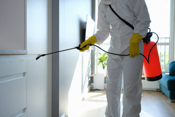 Best Bathroom Mold Remediation in South Corning, NY